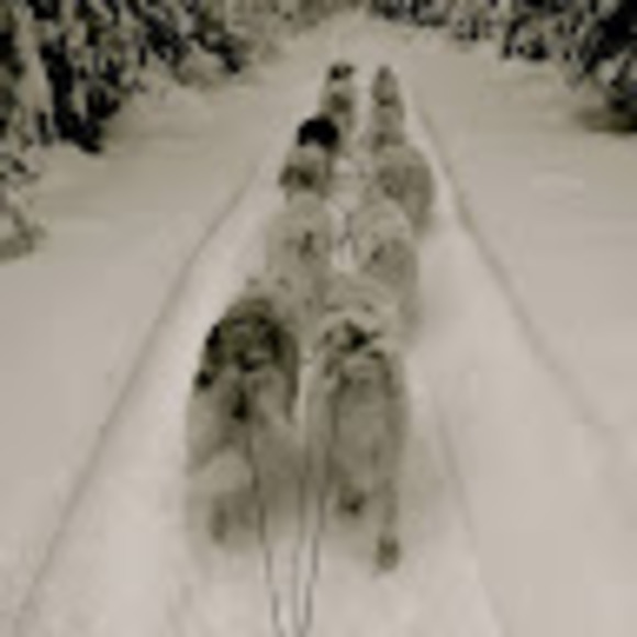 Meet your Posher, Megan - Picture 1 of 1